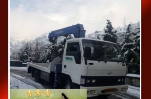 اجاره جرثقیل برای بارگیری